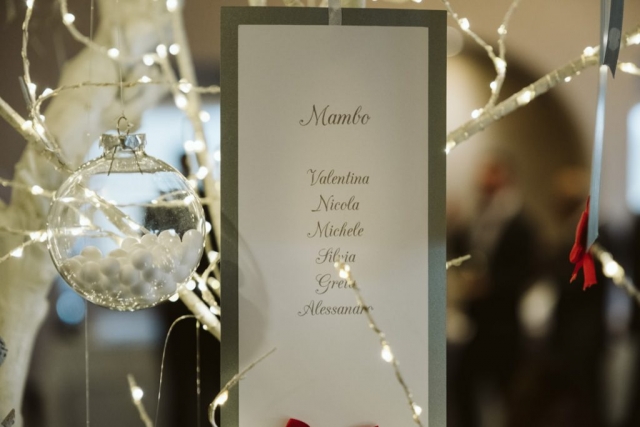 fotografo-matrimonio-asti-alessandria-inverno-3